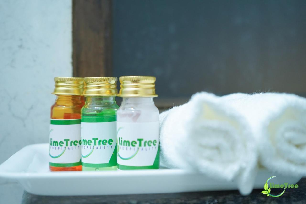 Lime Tree Hotel Near 32Nd Avenue Sector 29 Gurgaon Extérieur photo