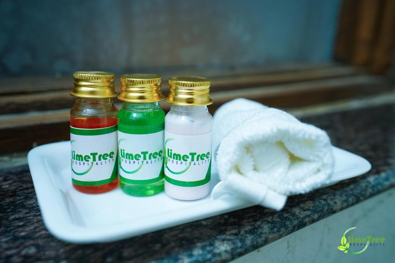 Lime Tree Hotel Near 32Nd Avenue Sector 29 Gurgaon Extérieur photo